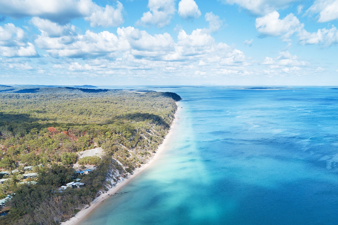 Coach & Train | Kingfisher Bay Resort | K'gari Fraser Island Accommodation